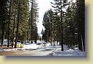Lake-Tahoe-Feb2013 (70) * 5184 x 3456 * (7.6MB)
